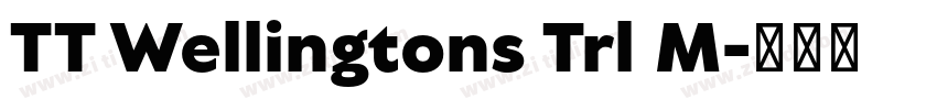 TT Wellingtons Trl M字体转换